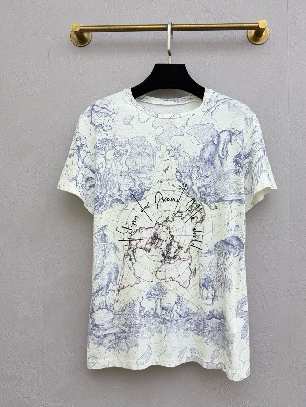 🚩steal Dior White Tee with Blue Toile and Central Map Star
